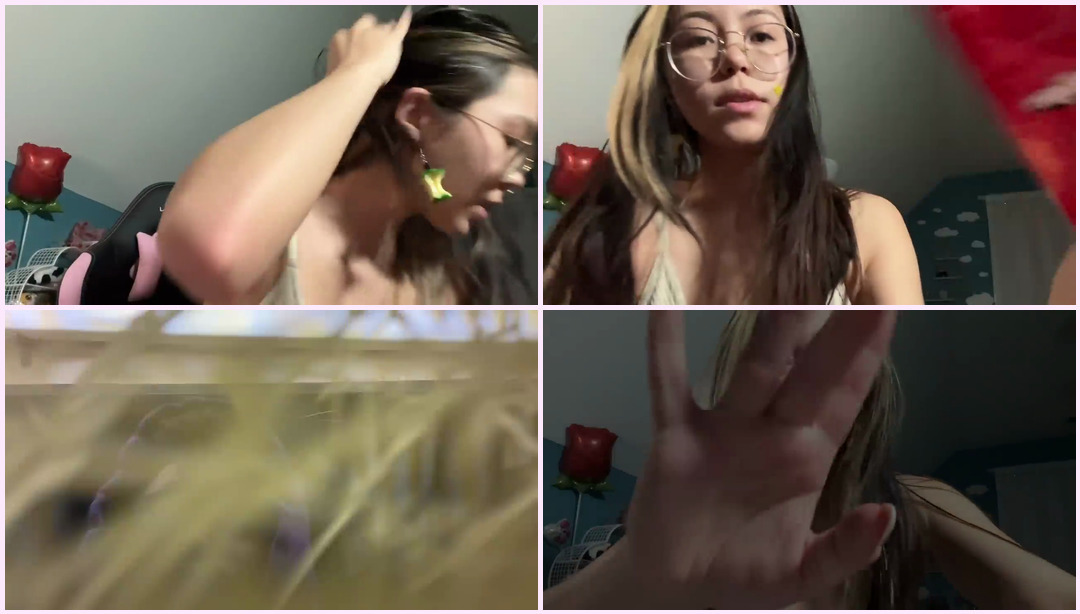 ASMR |真正积极且快速的 Lofi 触发器:使用 @Mental ASMR 销毁物品 Tiptwo ASMR视频