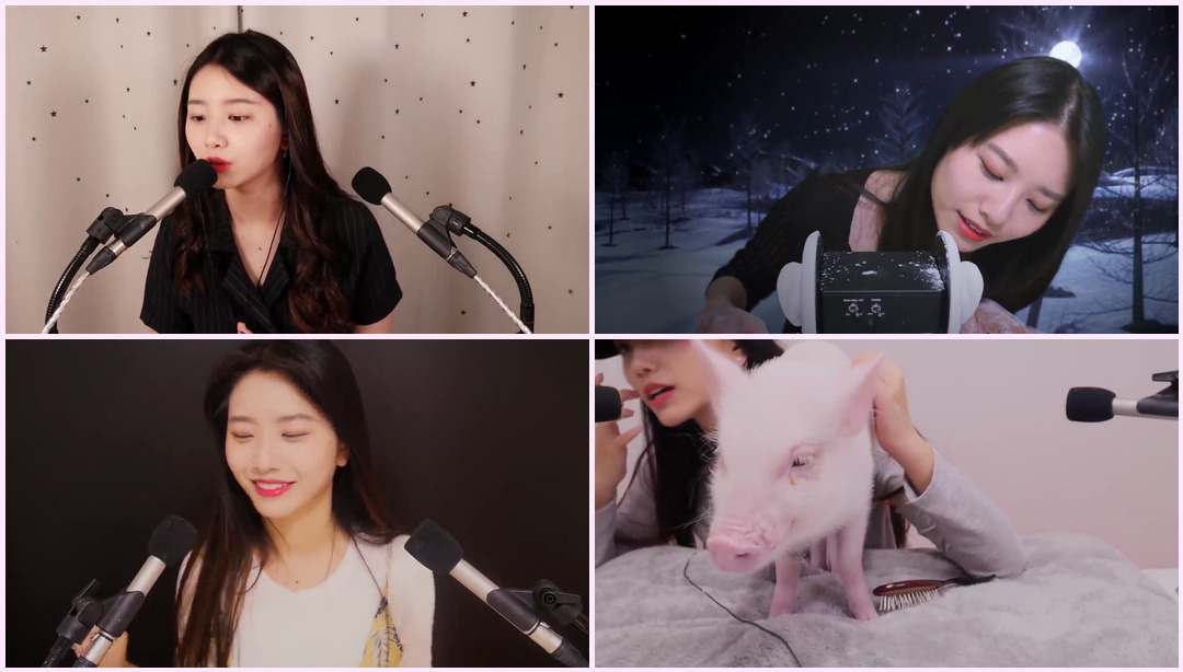 ASMR ... zz [] suna asmr，声音恋物癖] Suna ASMR视频