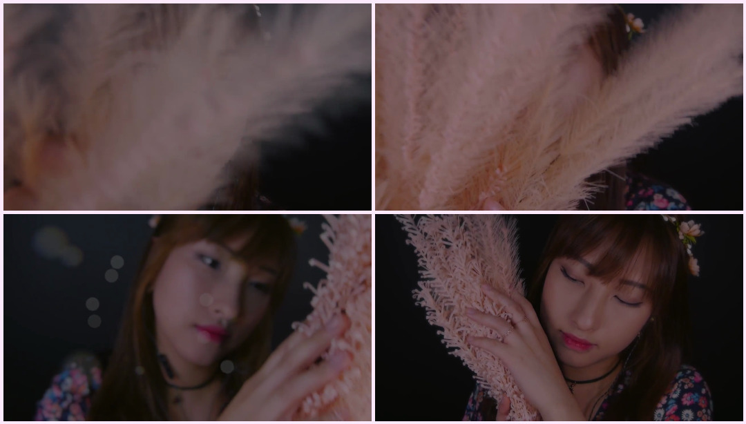 ASMR。潘帕斯草放松 - 双耳皱纹声（不说话）  Kaya ASMR视频