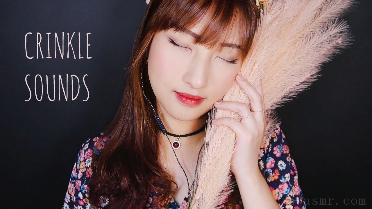 ASMR。潘帕斯草放松 - 双耳皱纹声（不说话）