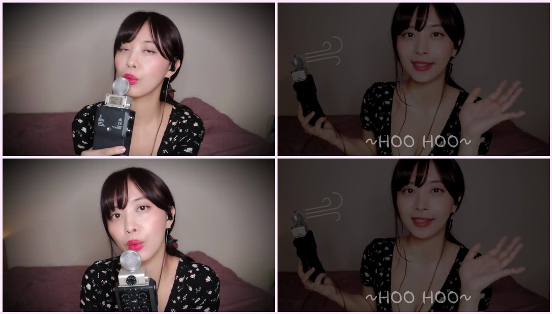 ASMR l 吹瞌睡（30 分钟） l ZoomH6 美胸Asmr ASMR视频